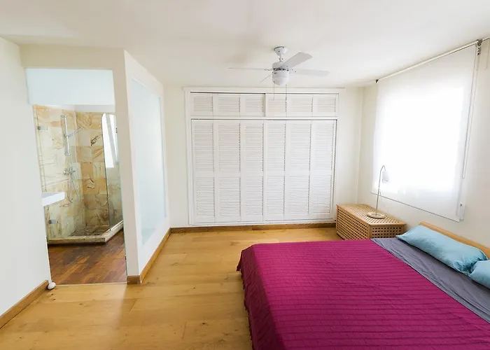 Apartment Con Terraza